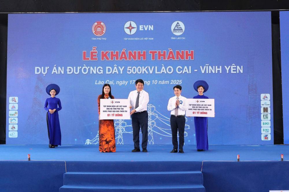 Tập đoàn Điện lực Việt Nam