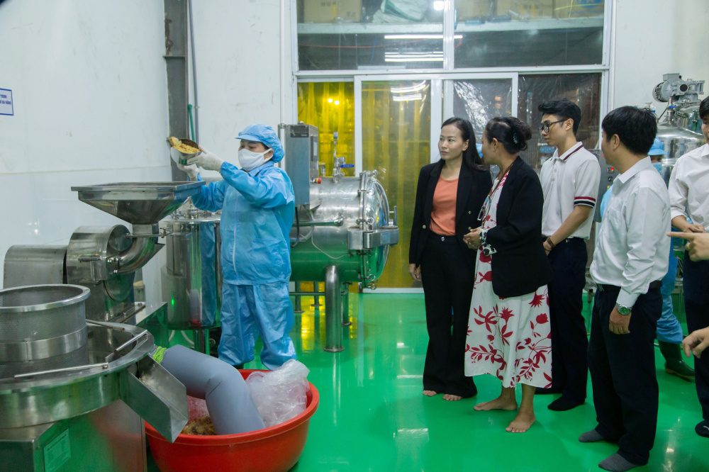 Nghị định 235/2025/NĐ-CP