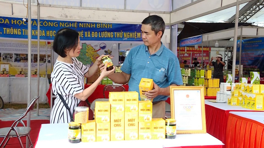 Ninh Bình