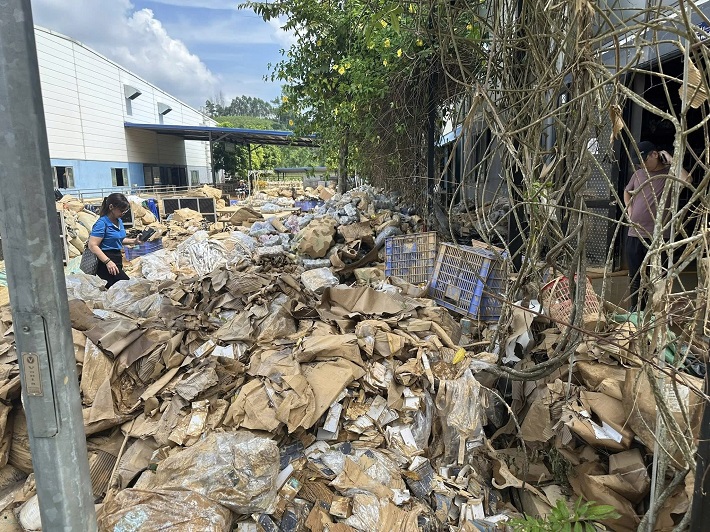 Bảo Việt