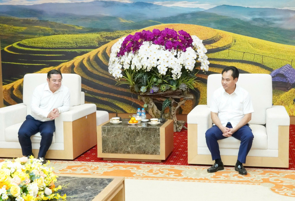 hỗ trợ lào cai 3