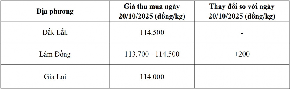 giá cà phê hôm nay