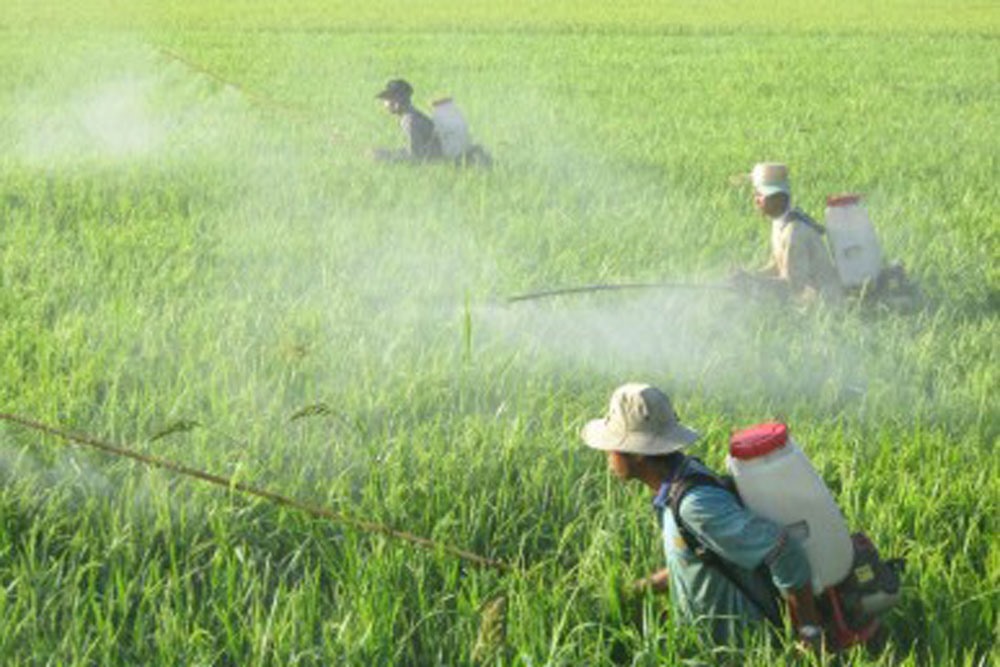 thuốc bảo vệ thực vật