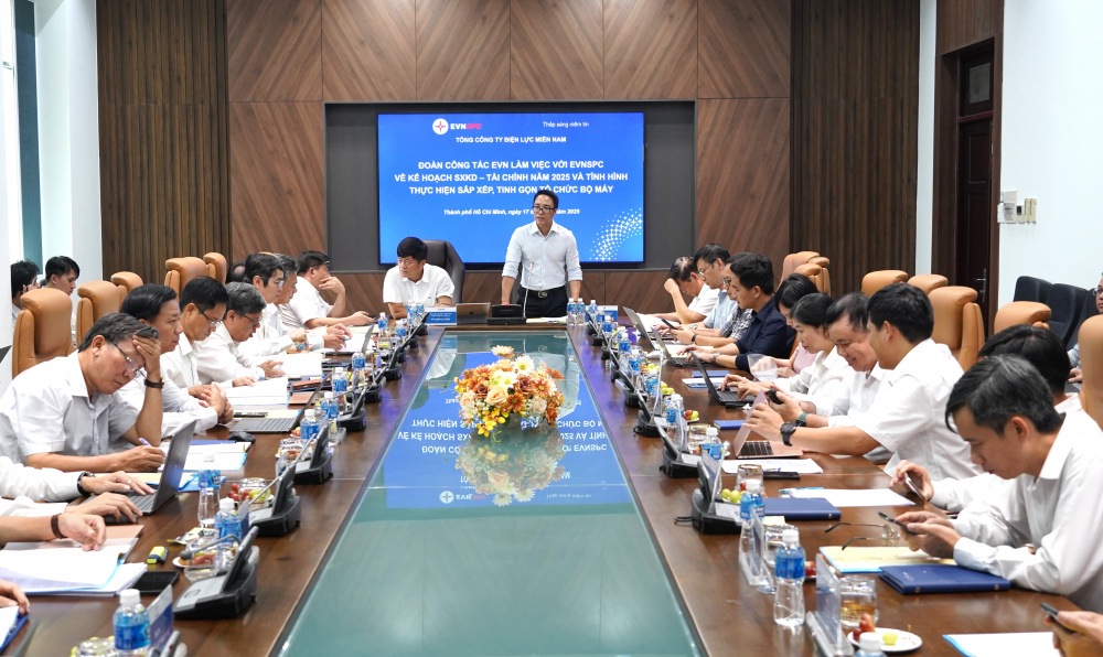 Tổng công ty Điện lực miền Nam