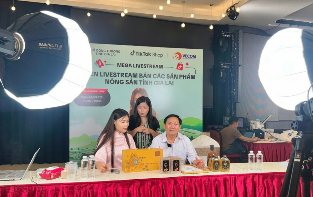 thương mại điện tử Gia Lai