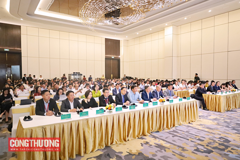Hội chợ Mùa Thu lần thứ nhất - 2025: Nền tảng xúc tiến thực chất, thúc đẩy hợp tác Việt Nam - Trung Quốc