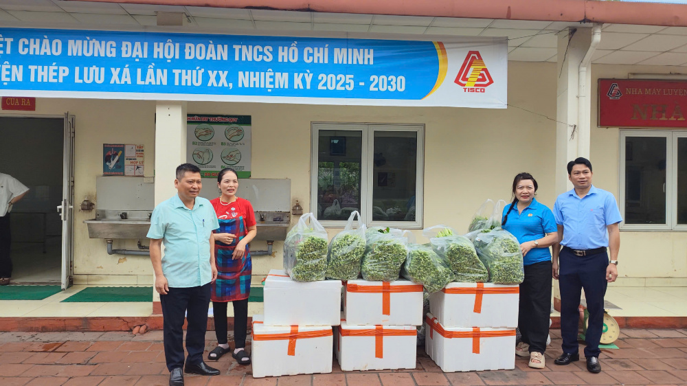 Tôn mạ VNSTEEL Thăng Long