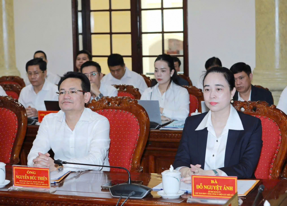 Tổng công ty Điện lực miền Bắc