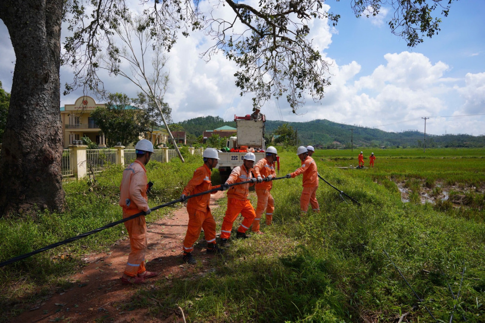 Tổng công ty Điện lực miền Bắc