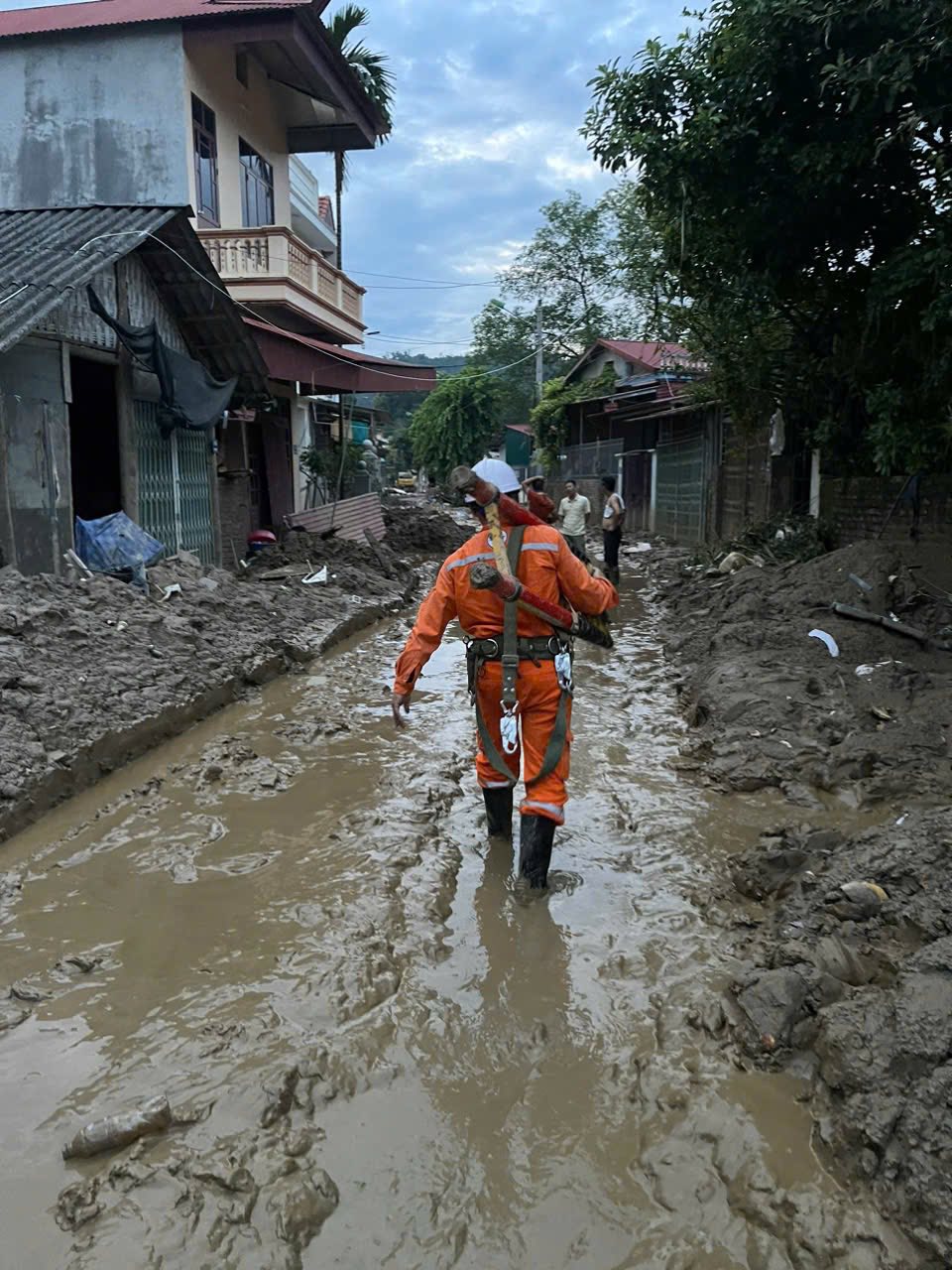 Tổng công ty Điện lực miền Bắc