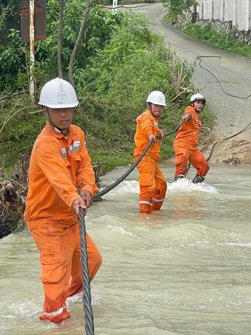 Tổng công ty Điện lực miền Bắc