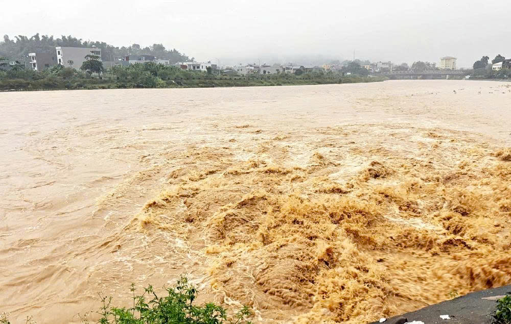 phòng lũ quét