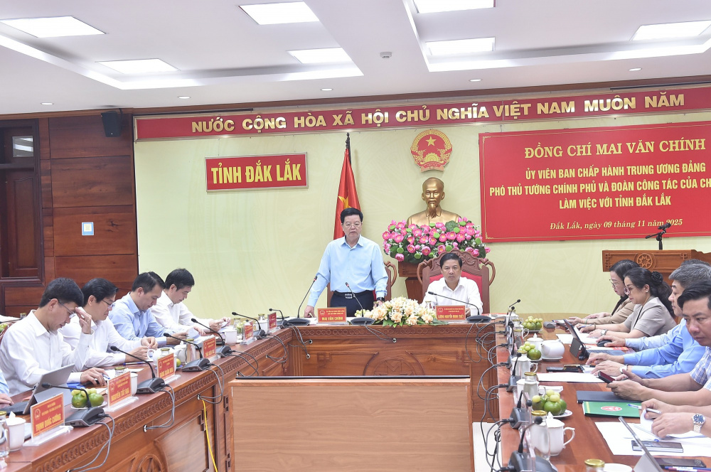 Phó Thủ tướng yêu cầu tỉnh phải chỉ đạo, xây dựng kịch bản đối với từng lĩnh vực: Công nghiệp, nông nghiệp, dịch vụ thương mại..phấn đấu đạt mức cao nhất tăng trưởng của năm 2025 - Ảnh: VGP