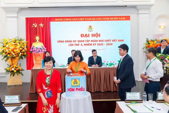 đại hội đại biểu 3