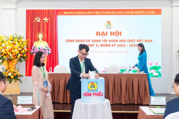 đại hội đại biểu 4