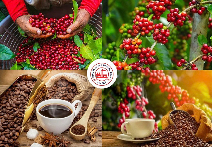 phân bón văn điển