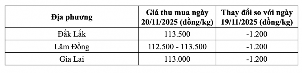 Tham khảo giá cà phê hôm nay ngày 20/11/2025 tại thị trường trong nước (Nguồn: Tạp chí Công Thương tổng hợp)