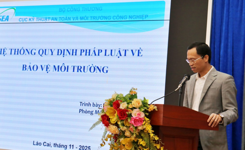 trình bày hệ thống các quy định pháp luật