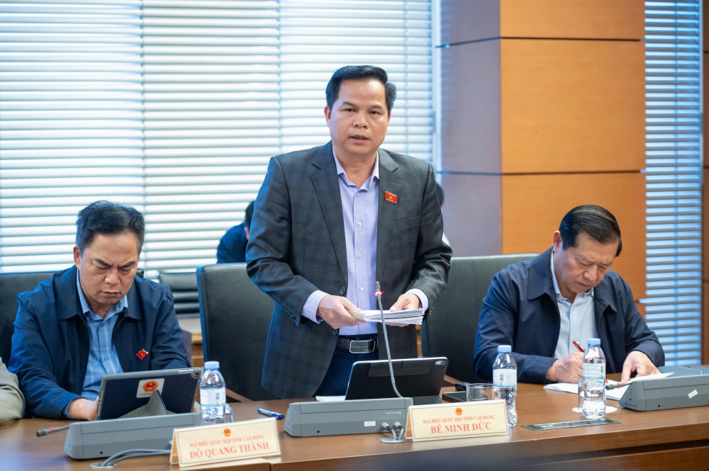 Luật hóa trách nhiệm của chủ sở hữu nền tảng thương mại điện tử