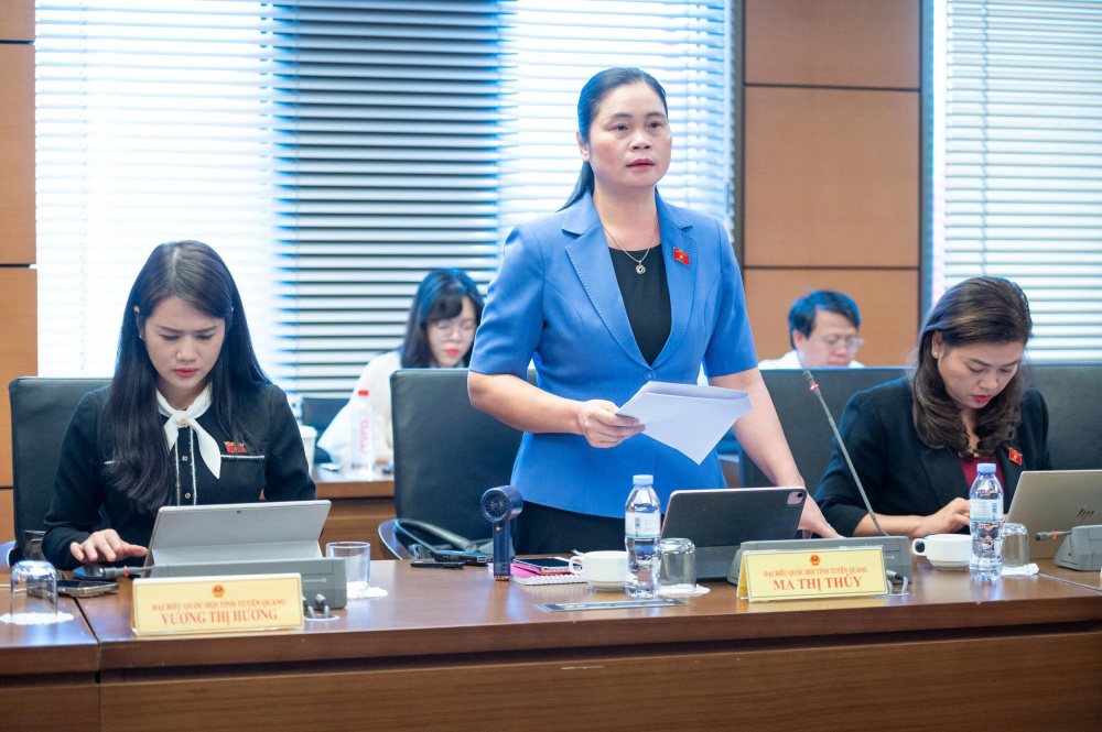 Luật hóa trách nhiệm của chủ sở hữu nền tảng thương mại điện tử