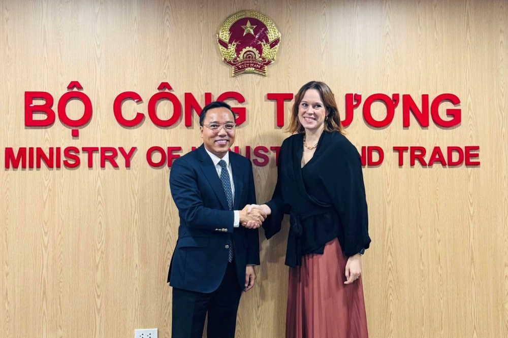 Thứ trưởng Nguyễn Hoàng Long