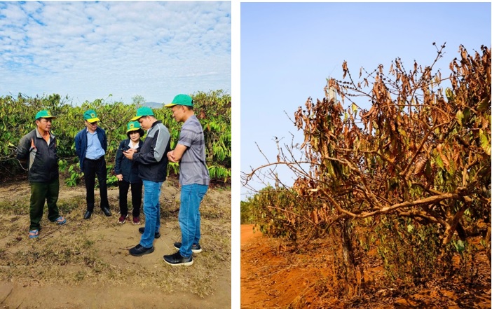 biến đổi khí hậu