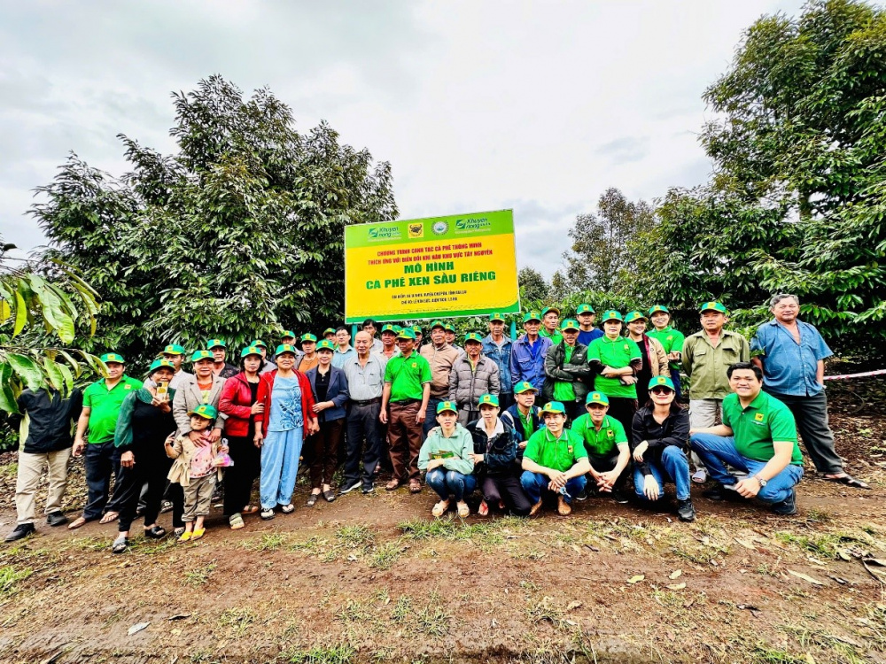 biến đổi khí hậu