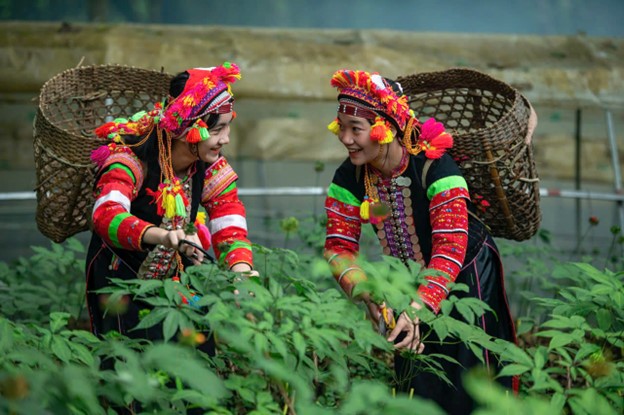 Từ ngày 14 - 16/11/2025, tại Trung tâm thương mại tỉnh Lai Châu, sẽ diễn ra Ngày hội sản phẩm vùng đồng bào dân tộc thiểu số và miền núi phía Bắc năm 2025.