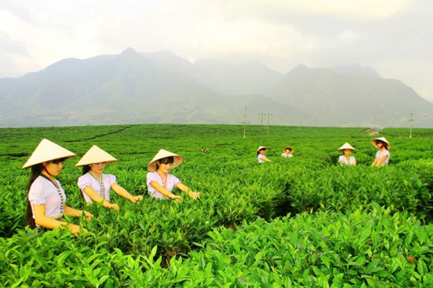 Ngày hội sản phẩm vùng đồng bào dân tộc thiểu số và miền núi phía Bắc tại Lai Châu
