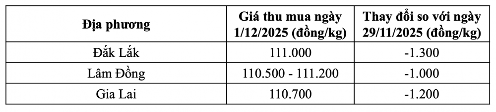Tham khảo giá cà phê hôm nay ngày 1/12/2025 tại thị trường trong nước (Nguồn: Tạp chí Công Thương tổng hợp)