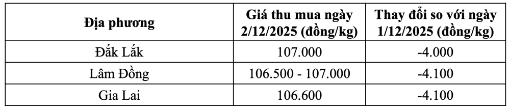 Tham khảo giá cà phê hôm nay ngày 2/12/2025 tại thị trường trong nước (Nguồn: Tạp chí Công Thương tổng hợp)