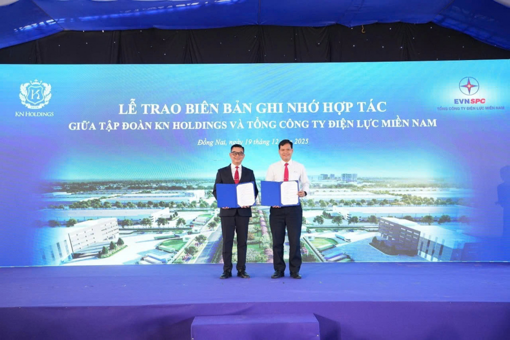 Tập đoàn KN Holdings
