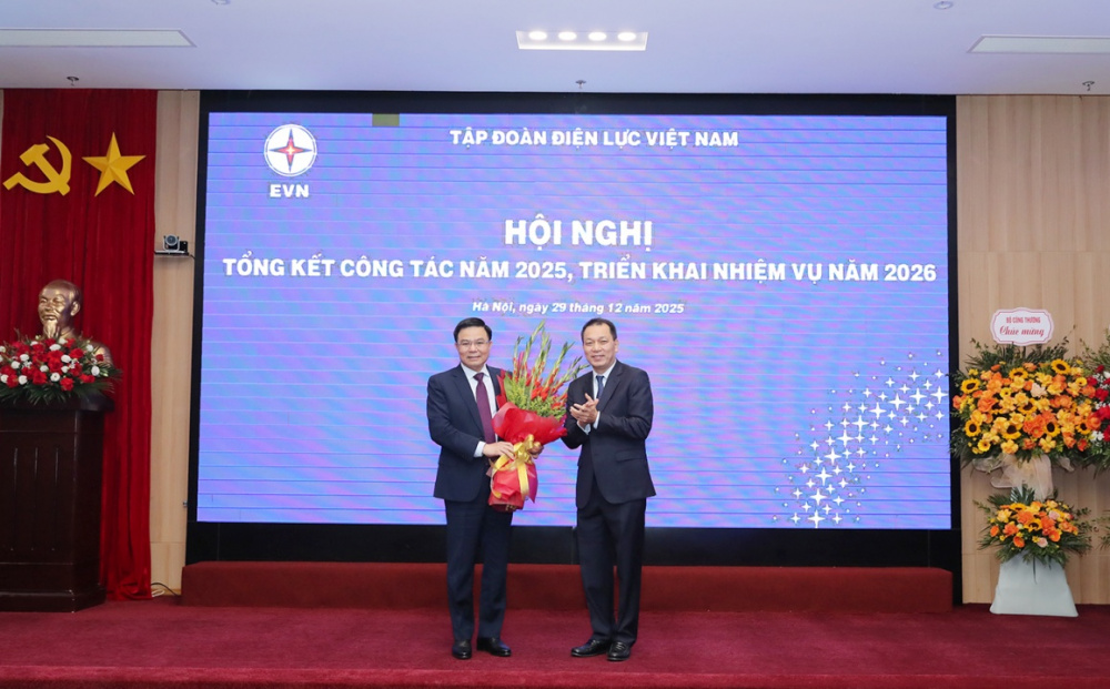 Tập đoàn Điện lực Việt Nam