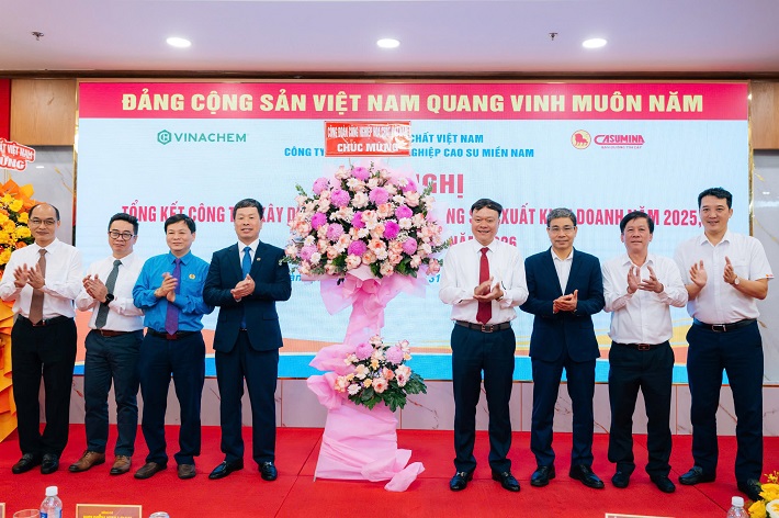 casumina triển khai 2