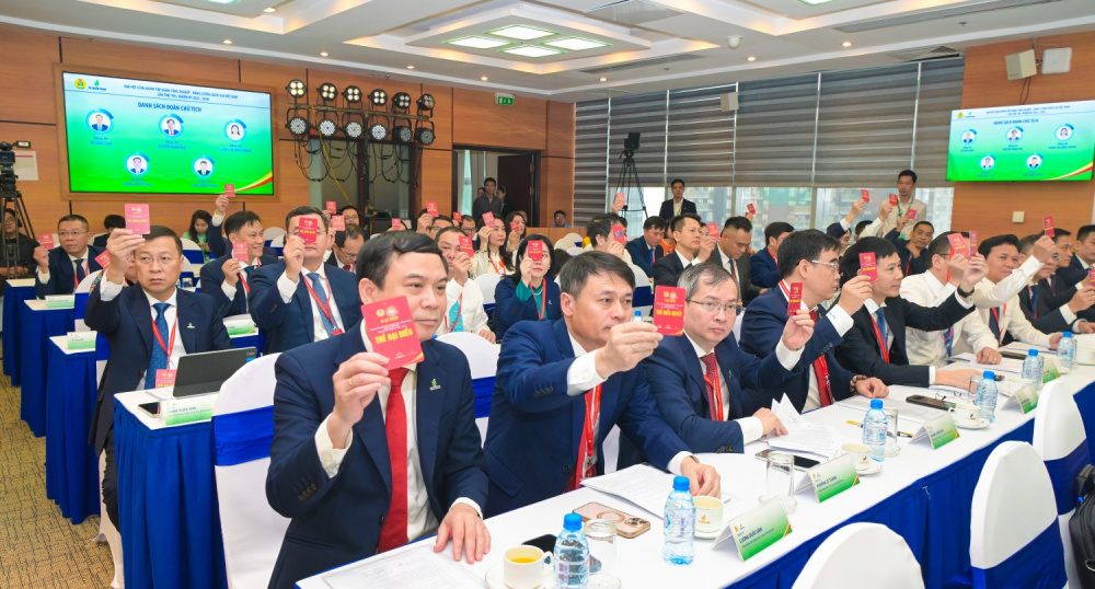 dsc-261020251220091637.jpg?rt=20251220200336