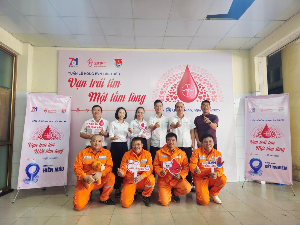 Công ty Điện lực Quảng Ninh