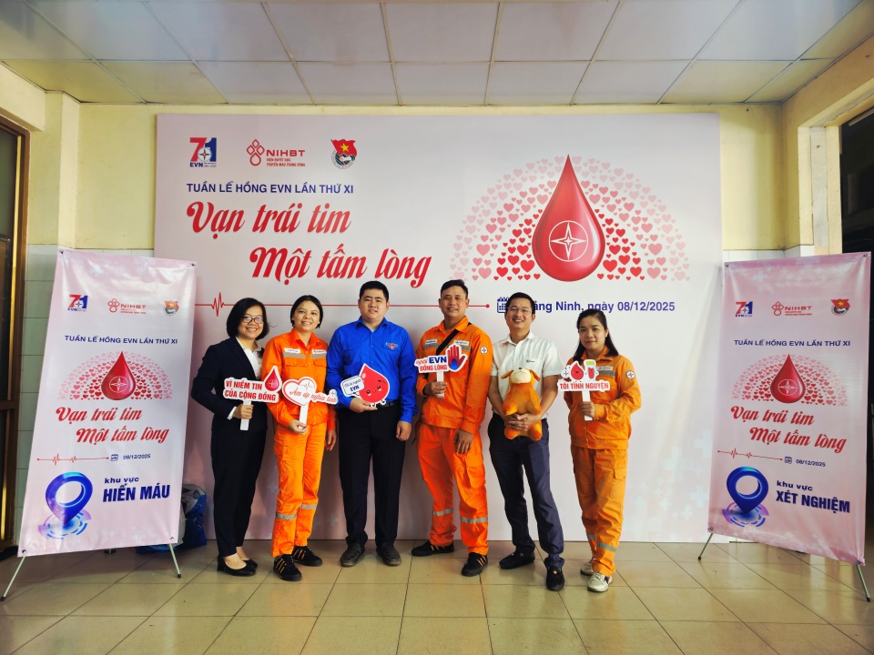 Công ty Điện lực Quảng Ninh