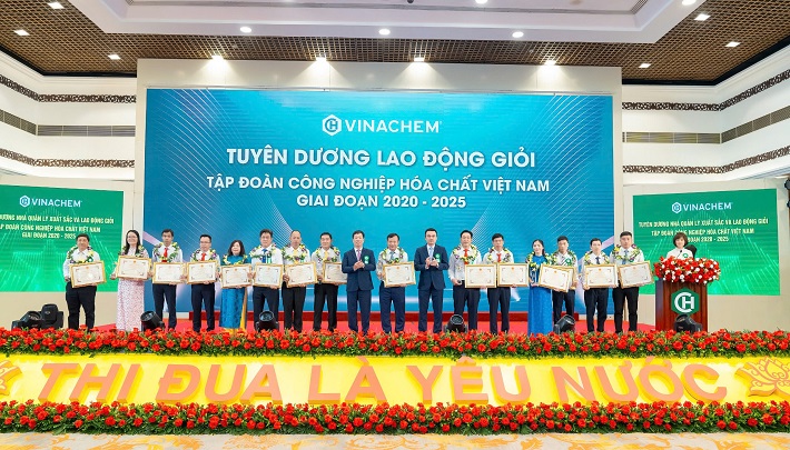 ông thông