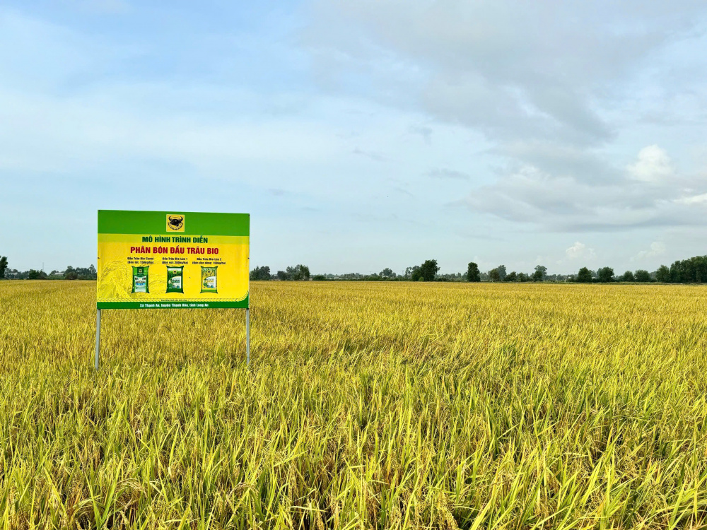 Đồng bằng sông Cửu Long