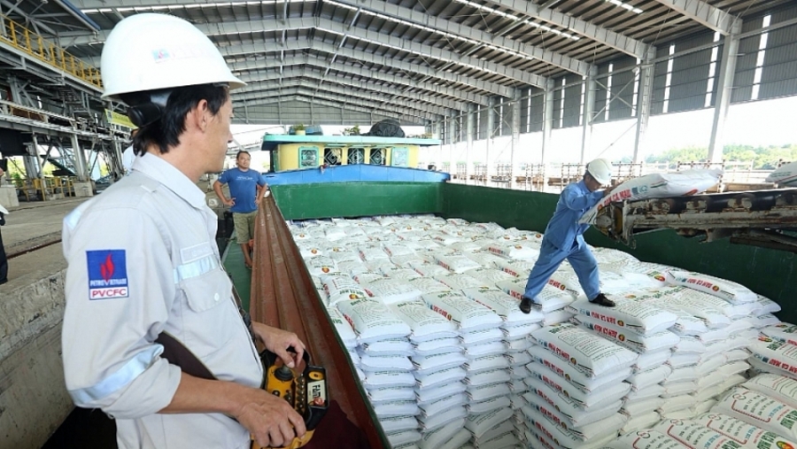 Đạm Cà Mau