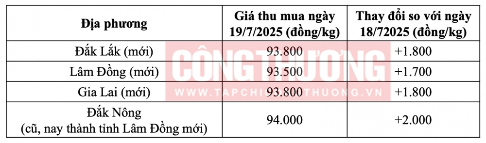 Giá cà phê hôm nay ngày 19/7 tại thị trường trong nước