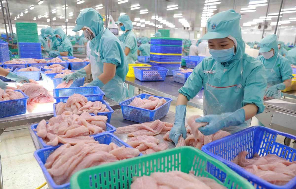 Xuất khẩu cá tra