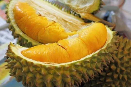 sầu riêng Campuchia