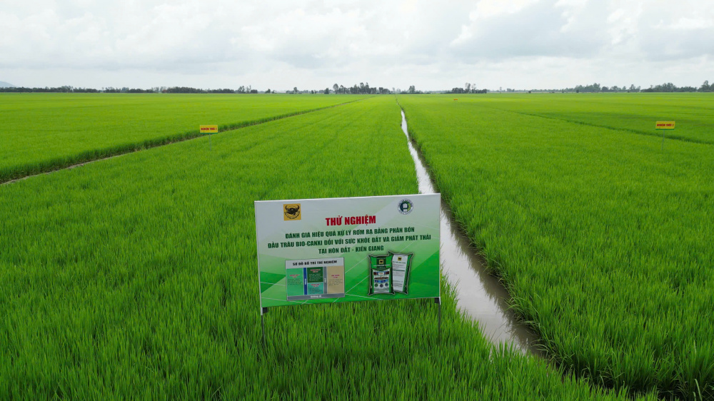 Đầu Trâu Bio-Canxi