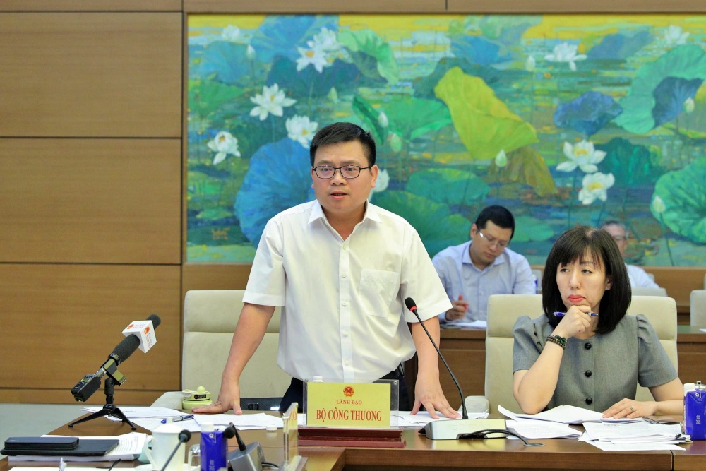 thứ trưởng Hoài báo cáo về công tác bảo vệ môi trường