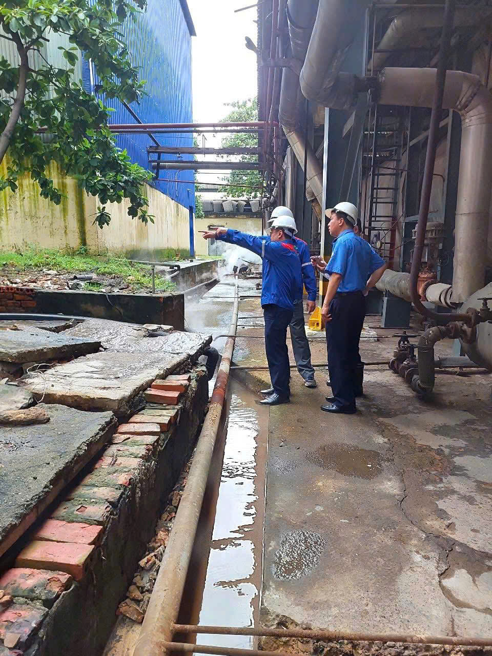 ứng phó bão số 3 Wipha
