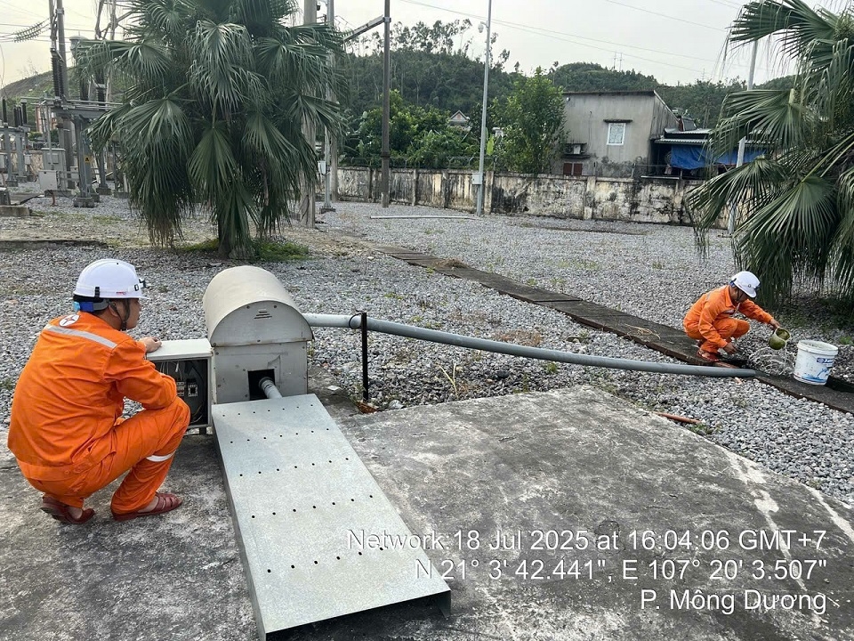 Tổng công ty Điện lực miền Bắc