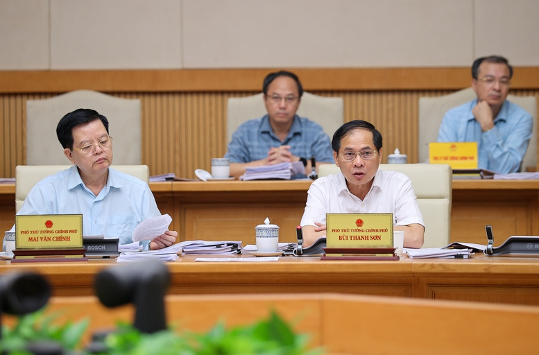 phó thủ tướng Bùi Thanh Sơn