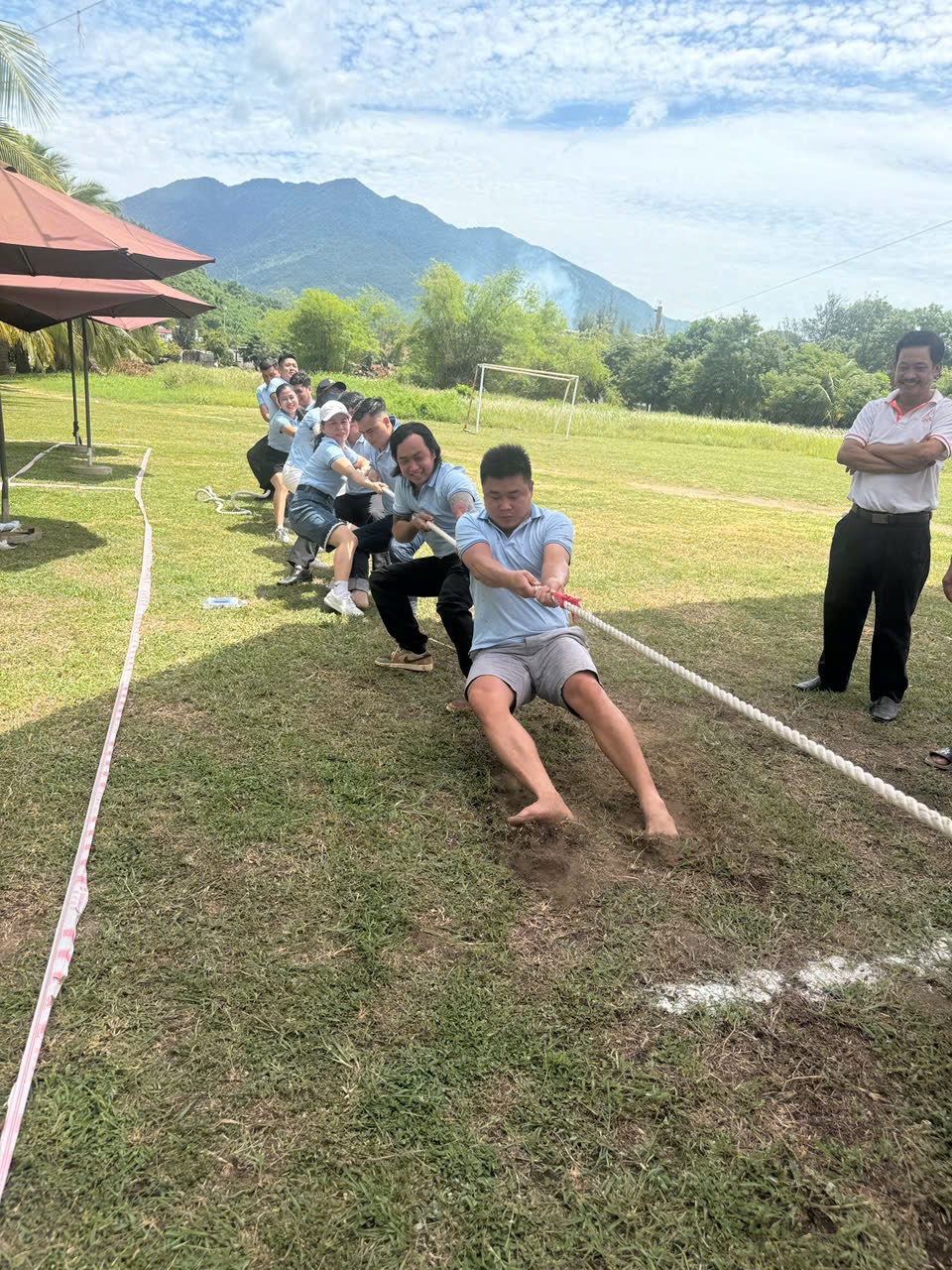 tổng công ty thép việt nam
