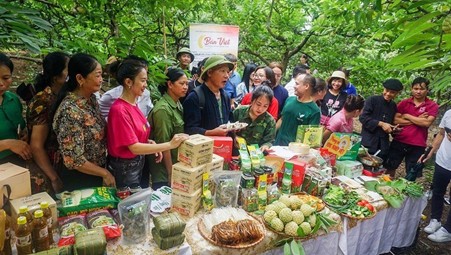 thái nguyên